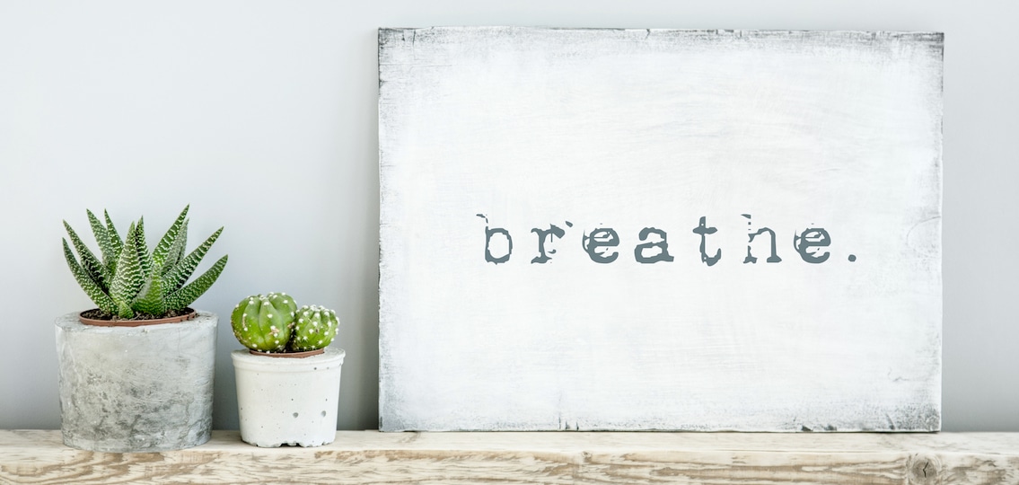 motivational poster quote BREATHE next to potted cacti