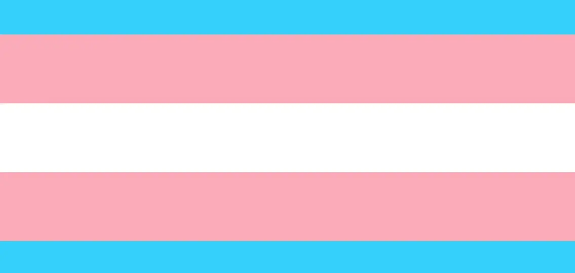 Trans flag blue pink and white