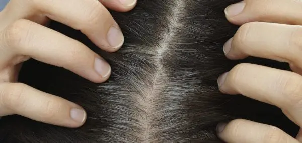 Going Grey? You’re Going To Be Fine (And Maybe Even Love It)