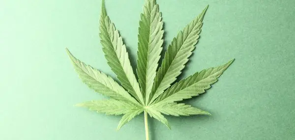 Thanks to Legalization, My Teenager Thinks Marijuana is Safe