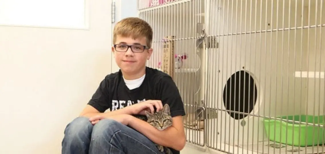 teen boy volunteering at an animal shelter petting a cat