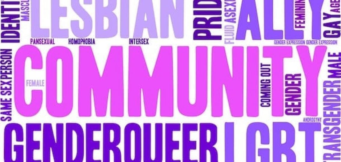 word chart of lgbt words in purple including community pansexual lesbian pride ally feminine agender genderqueer and more