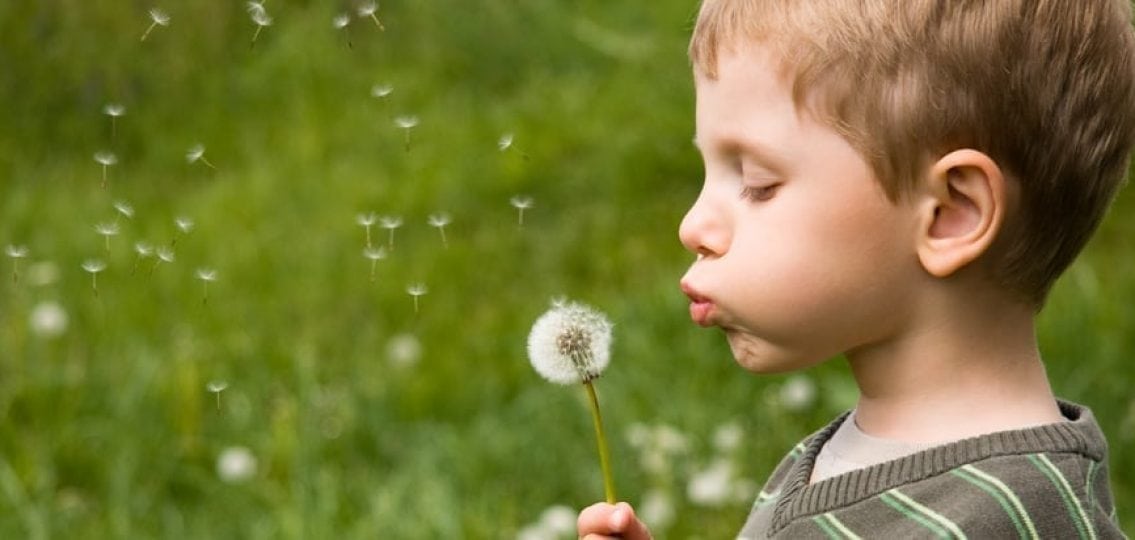 young boy blowing dandelions
