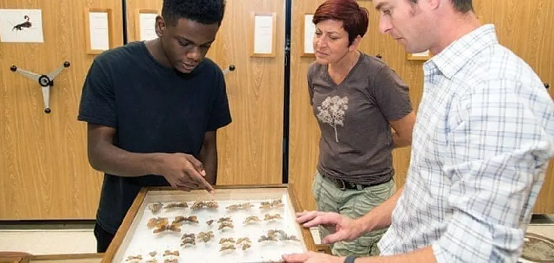 teenage boy looking at insect collection with several teachers
