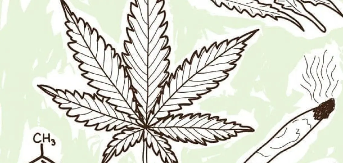 cartoon illustration of a marijuana leaf and a joint