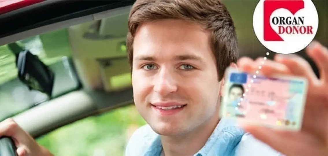 teenage boy holding up his new drivers license with a zoom in on his organ donor sticker