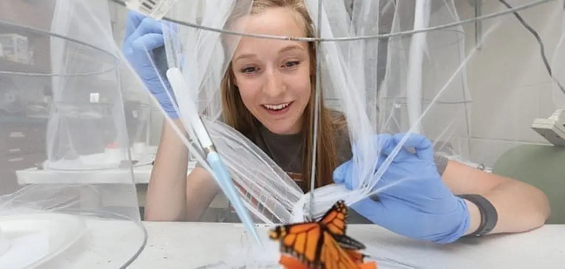 teenage girl looking at a butterfly in a science lab