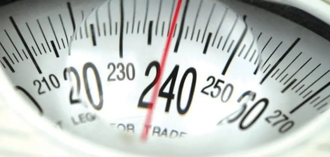 a close up of a scale reading 239 pounds