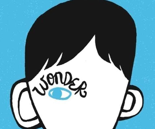 Wonder by RJ Palacio  Perspective Activity for Students