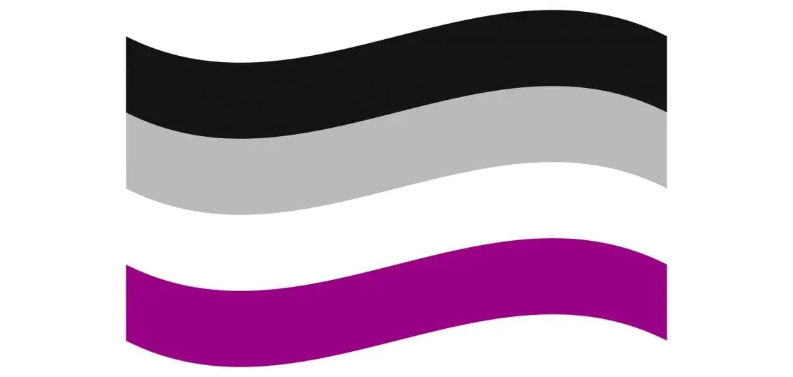 cartoon illustration of the ace flag waving with the colors black grey white and purple