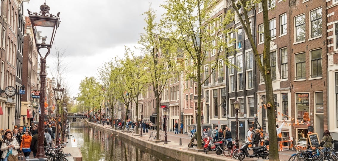 Amsterdam crowded roads by a river surrounded by trees