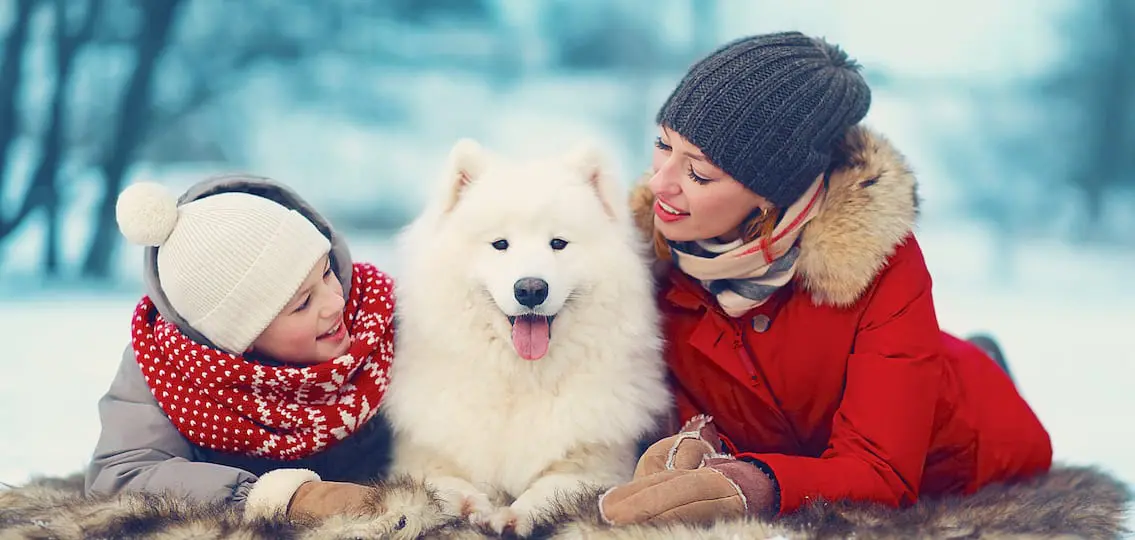 Beautiful happy family, mother and son walking with white Samoyed dog in park on a winter day