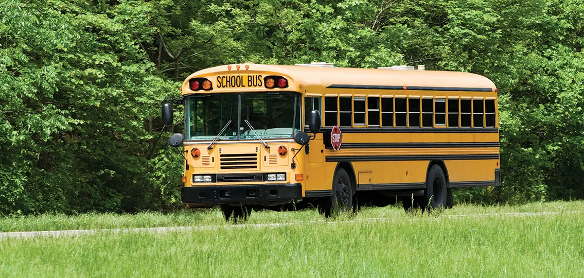 empty School bus on road surrounded by grass and trees