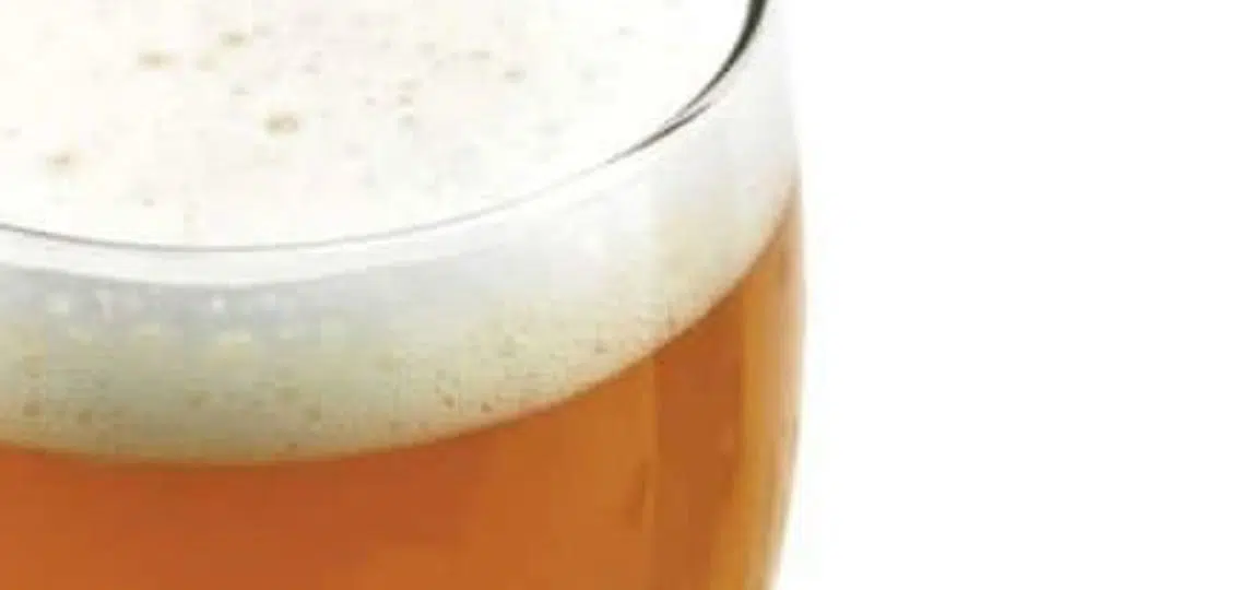 close up of a glass of beer white background