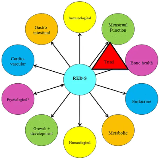 RED-S chart on effects: Immunological, Menstrual function, bone health, Endocrine, Metabolic, Hematological, Growth + Development, Psychological, Cardiovascular, grastrointestinal