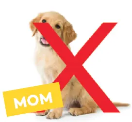 the caption mom with a red X over a golden retriever puppy