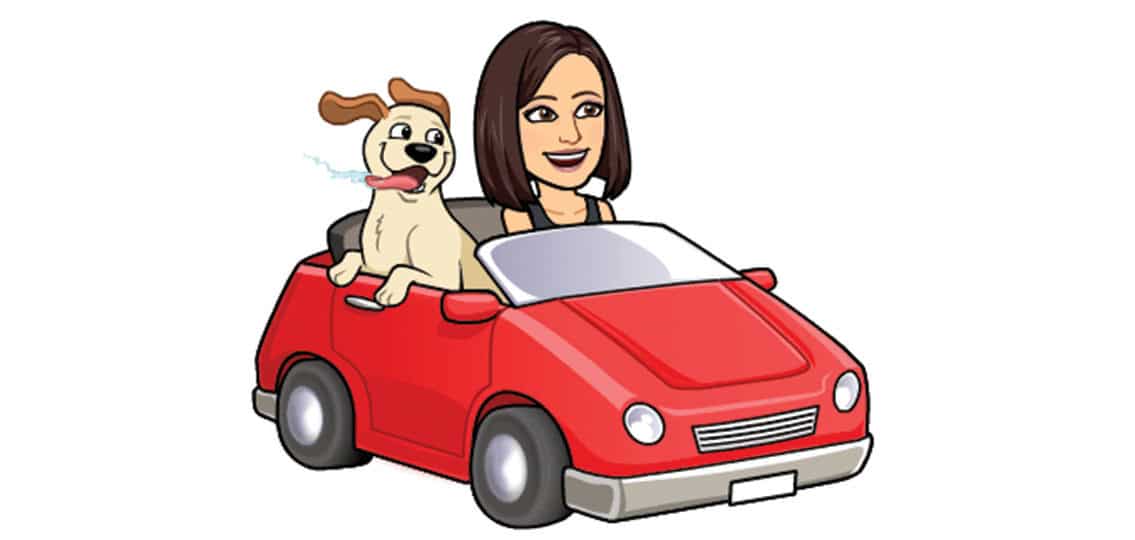 cartoon stephanie silverman driving a car with a dog in the passenger seat
