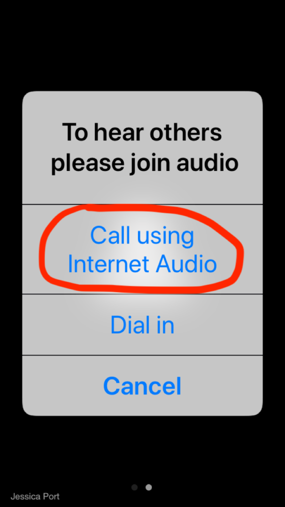 zoom audio only conference call