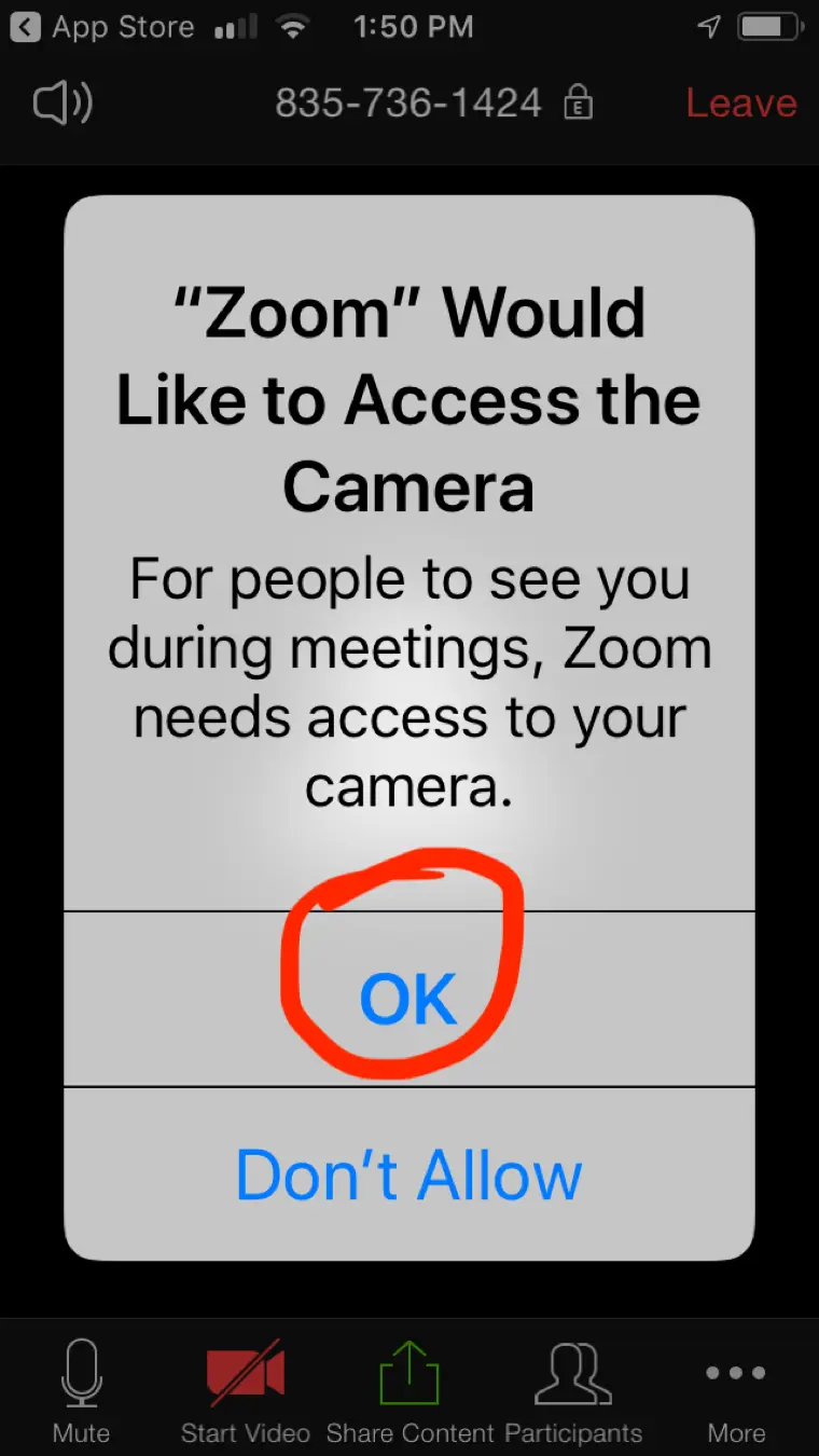 "Zoom" Would Like to Access the Camera with OK circled in red