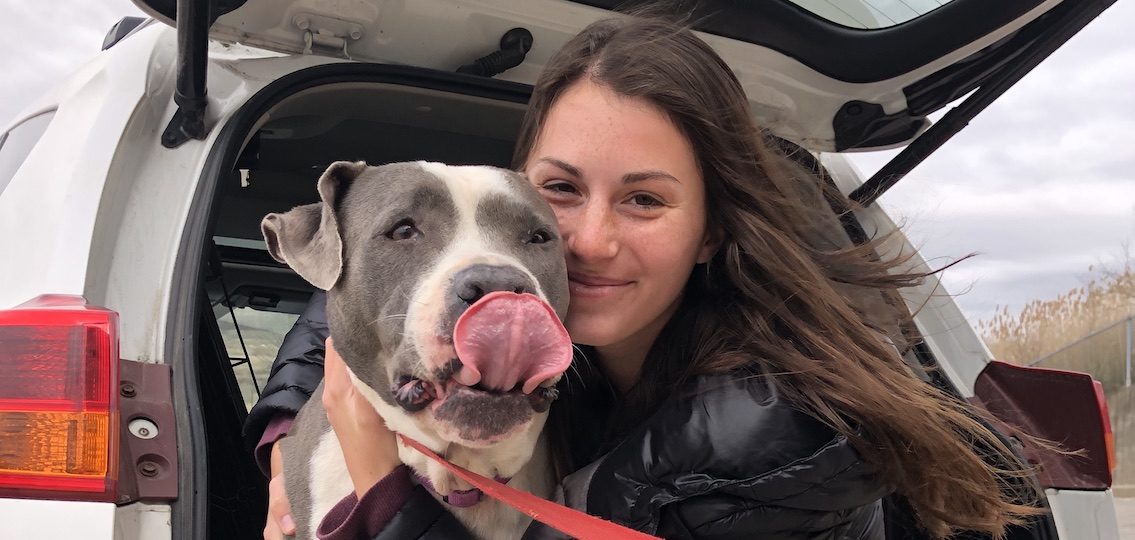 teen girl holding a pitbull licking its lips outside sitting in the trunk of a minivan