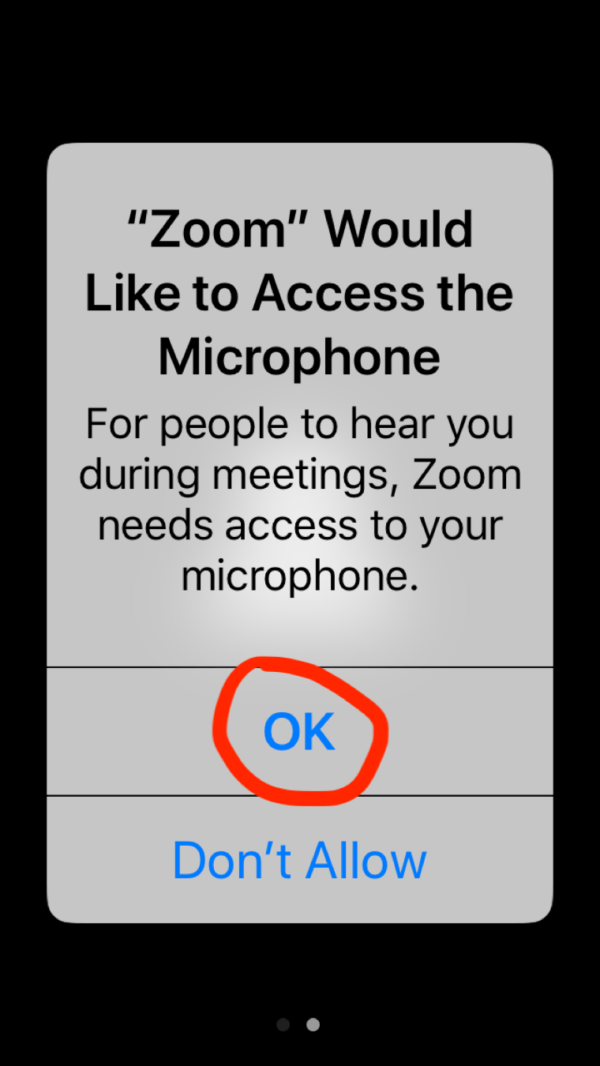 How to Use Zoom for the Technologically Challenged