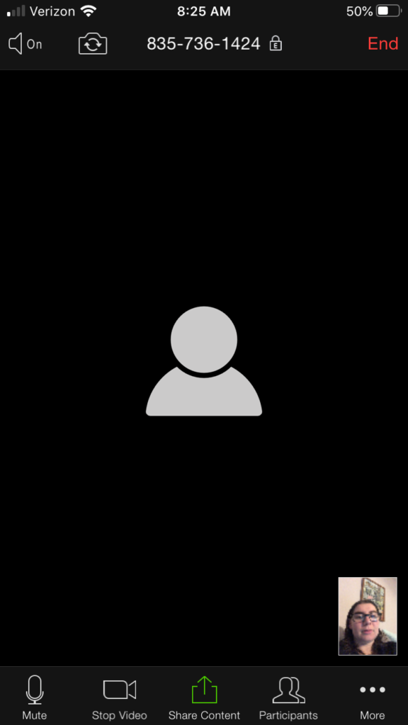 How to Use Zoom for the Technologically Challenged