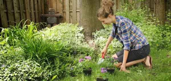 Grow Flowers and Foster Mental Health: The Benefits of Gardening