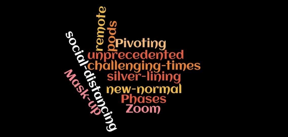 a collection of 2020 themed words like new normal, pivoting, silver lining, unprecidented times, etc