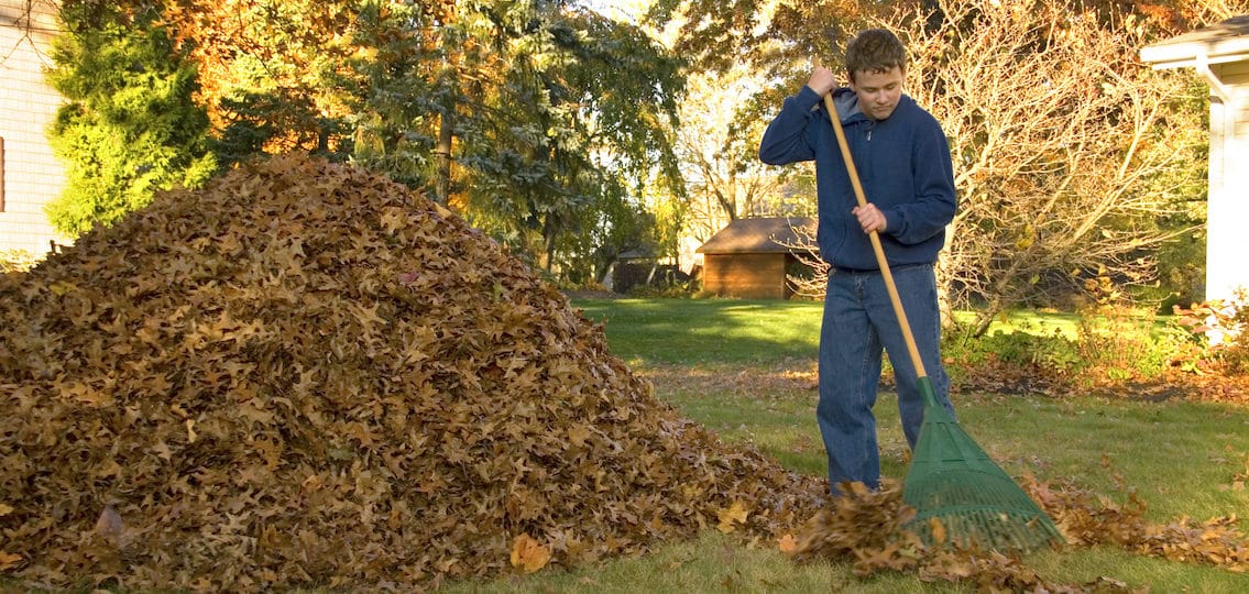 A teen boy raking leaves in the fall.