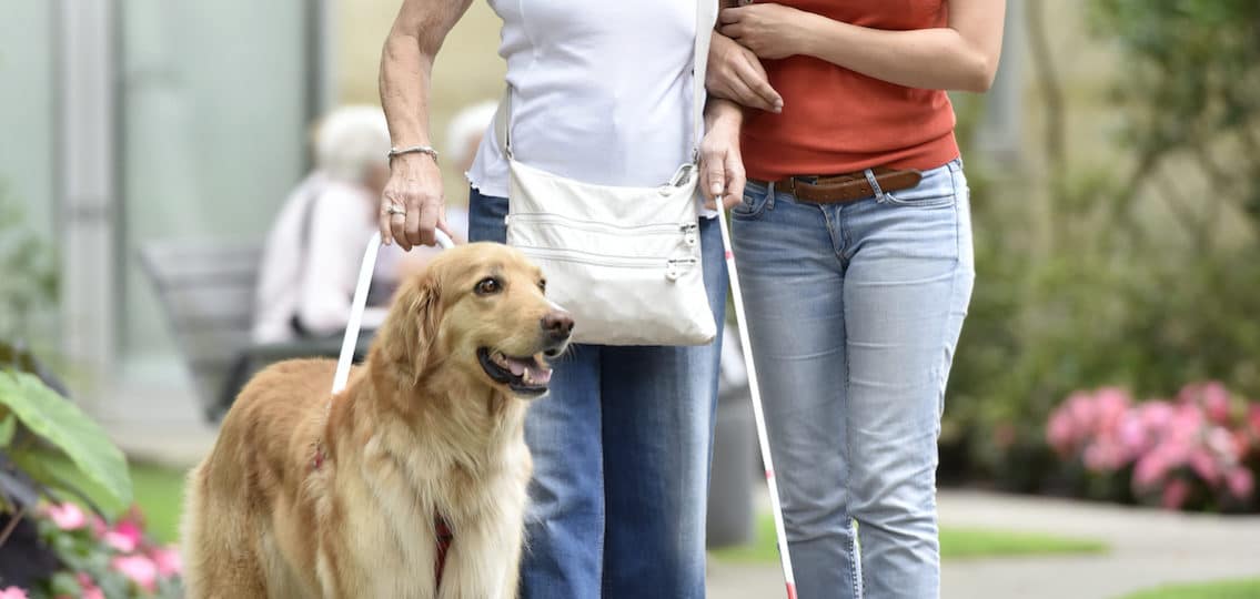 Blind mother walking with help of dog and daughter