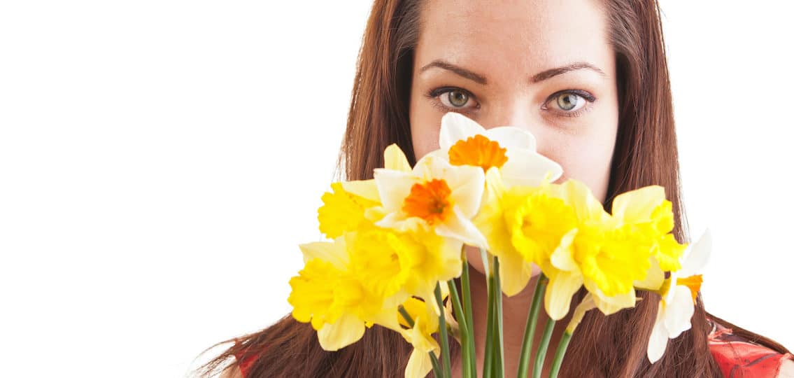 Face of a shy and introverted beautiful young woman hiding behind a bunch of daffodils and smelling
