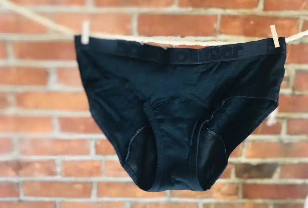 DominoWear period underwear hanging on a line