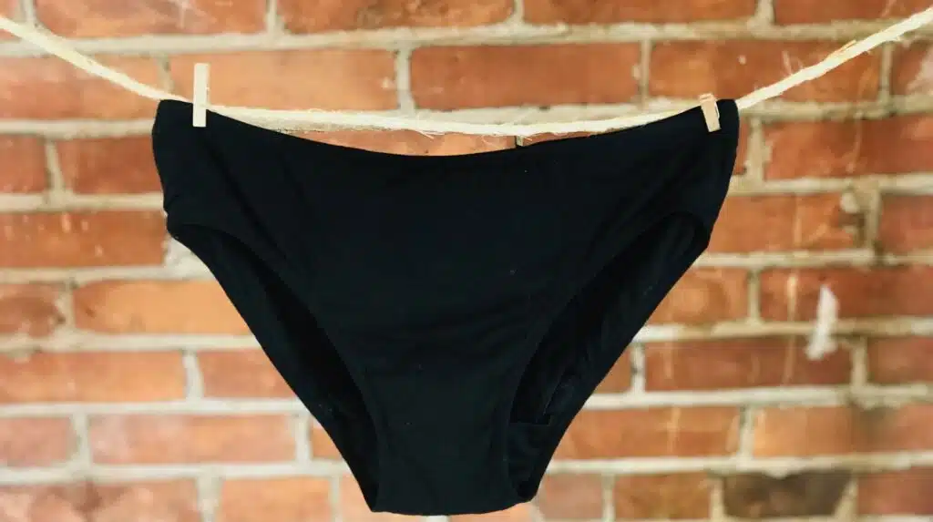 Sanxtuary MD period underwear hanging on a line