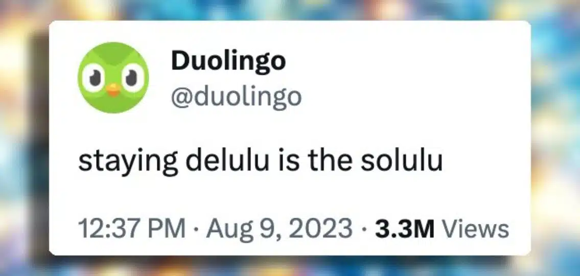 what does delulu mean?