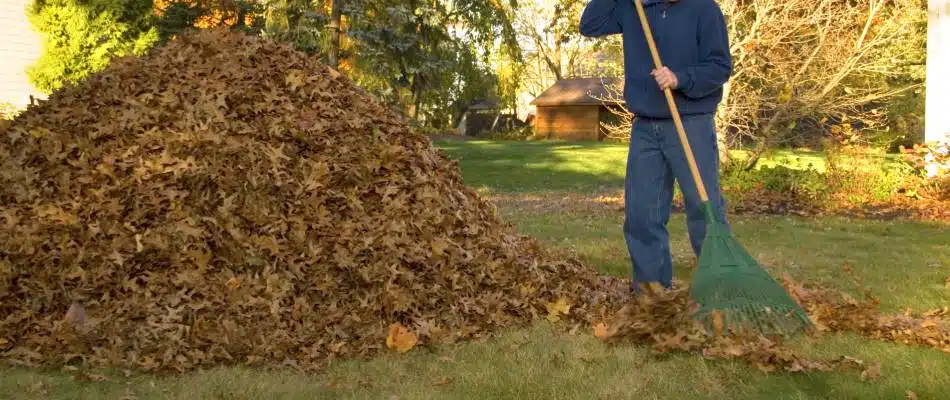 volunteer-raking-leaves