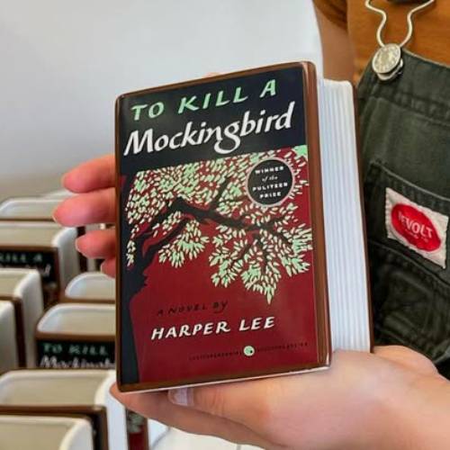 To Kill a Mockingbird Books for High Schoolers