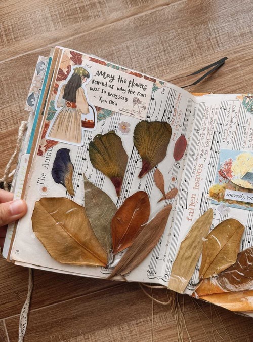 leaves pressed in a journal