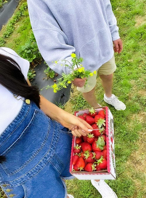 one person holding a basket of strawberries beside another person holding yellow flowers