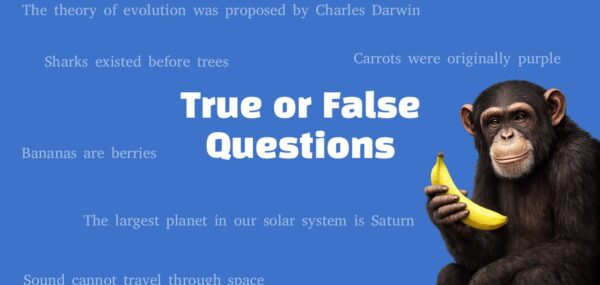 250 Fun True or False Questions With Answers!