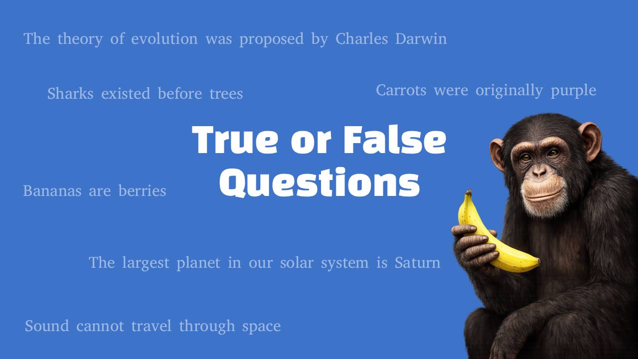250 Fun True or False Questions With Answers!