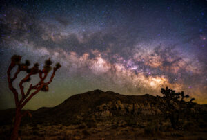 Joshua Tree Milky Way
